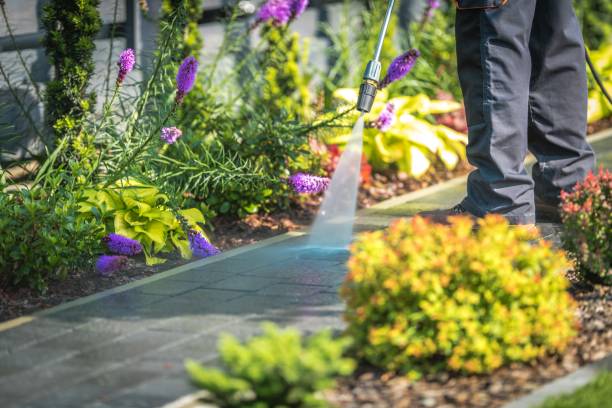 Spring Cleaning in Cold Spring, NY